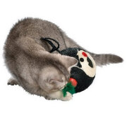 Griffoir chat balle ours noir