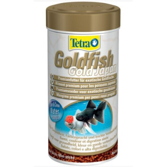 Tetra Goldfish poissons japonais