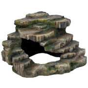Grotte d'angle aquarium terrarium Forêt tropicale