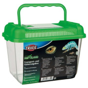 Boîte d'élevage pour reptile