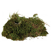 Mousse pour terrarium 200 g