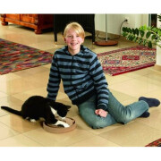 Jeu Kitty Brain Train recto verso