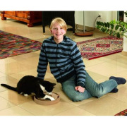Jeu pour chat Kitty Brain Train recto verso