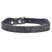 Collier Chihuahua : Party noir