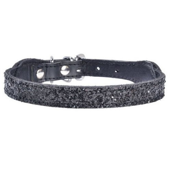 Collier Chihuahua : Party noir