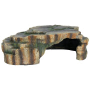 Grotte terrarium Forêt tropicale