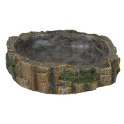 Écuelle forêt tropicale