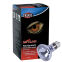 Ampoule chauffante Neodynium - 35 W