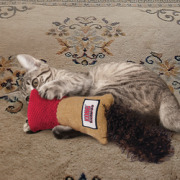 KONG Jouet Kickeroo Cuddler
