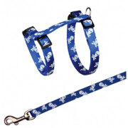 Harnais laisse tête de mort