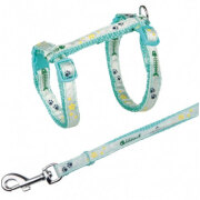 Harnais laisse chaton motif arête