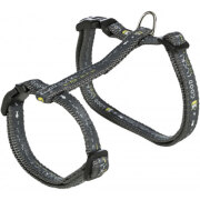 Harnais laisse grand chat Good Luck