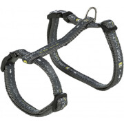 Harnais laisse grand chat Good Luck