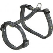 Harnais laisse grand chat