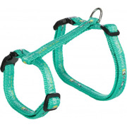 Harnais laisse grand chat