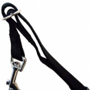 Harnais chien voiture Friends