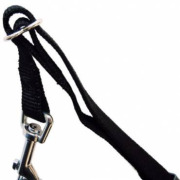 Harnais de voiture pour chien