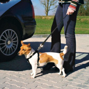 Harnais de voiture pour chien