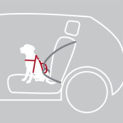 Harnais chien voiture Dog Protect