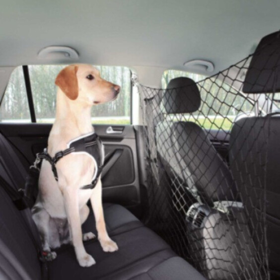 Filet pour voiture