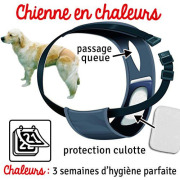 Couche pour chienne noire