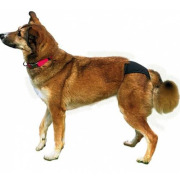 Couche pour chienne noire