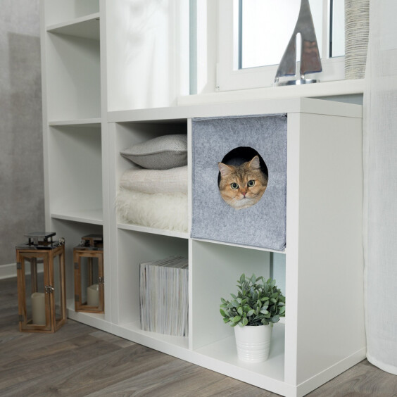Abri design pour chat Anton