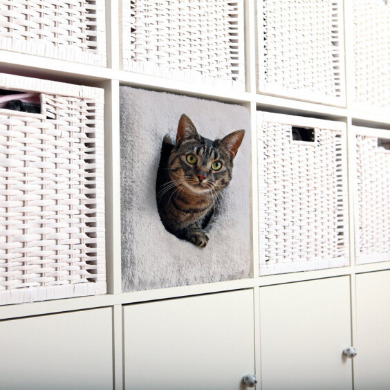 Abri chat douillet
