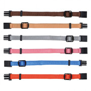 Collier identification chiot naissance set 1