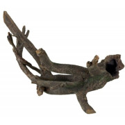 Plante aquarium Racine moyen 34 cm