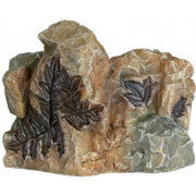 Décor aquarium petit fossile 8cm