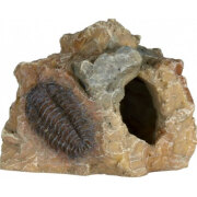 Décor aquarium petit fossile 8cm