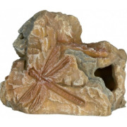 Décor aquarium petit fossile 8 cm