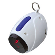 Pointeur laser automatique pour chat