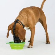 Muselière Muzzle Flex