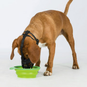 Muselière Muzzle Flex