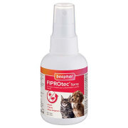 Spray anti puce chaton et chiot Fiprotec