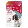 Fiprotec Combo chien médium 10 à 20 kg Beaphar