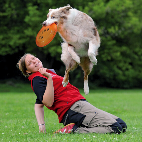 Frisbee de compétition Dog Disc