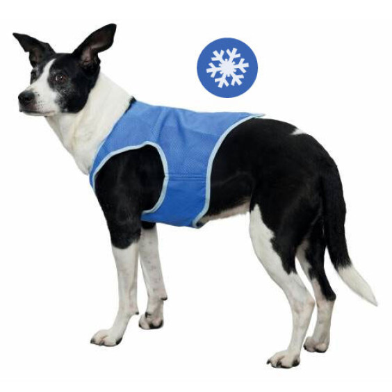 Manteau rafraîchissant pour chien