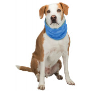 Bandana rafraîchissant pour chien