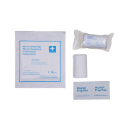 Trousse de secours pour chien et chat