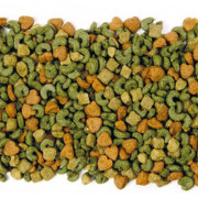 Nourriture pour octodon Care+ 700 g Beaphar