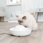 Fontaine à eau pour chat ultra silencieuse