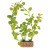 Plante plastique aquarium base sable