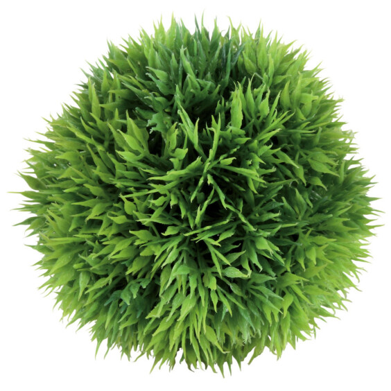 Balle de mousse aquarium