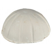 Bloc vacances pour poisson