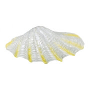 Coquillage fluo pour aquarium