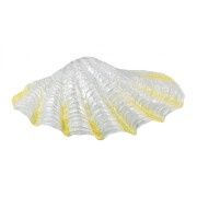 Coquillage fluo pour aquarium