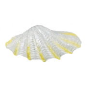 Coquillage fluo pour aquarium 6/9 cm